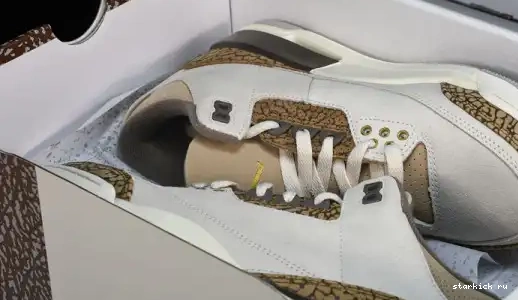 Palomino  CT8532-102  Retro Jordan 3 CT8532-102 0611